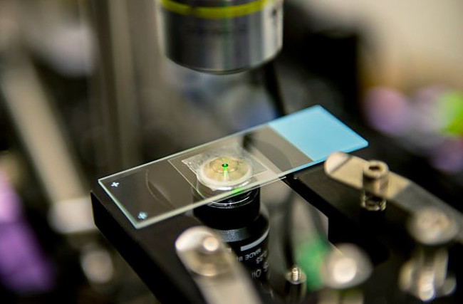 Лазерный луч впервые использовали для охлаждения воды - «Технологии»