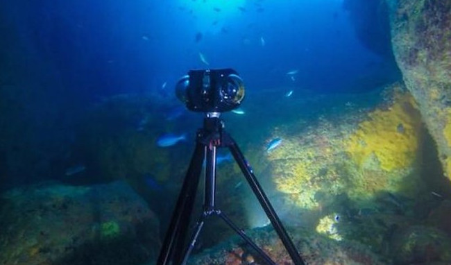 Boxfish — 360-градусная камера подводной съемки для кинематографистов и ученых - «Гаджеты»