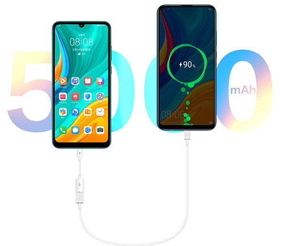 Huawei Enjoy 10e: бюджетный смартфон с батареей на 5000 мАч и реверсивной зарядкой за $140 - «Смартфоны»