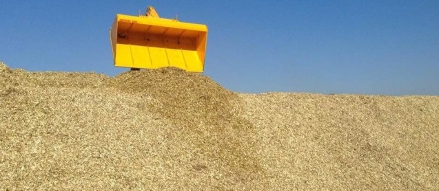Энергетические культуры в Украине могут заменить 20 млрд м3 природного газа - «Новости Электроники»