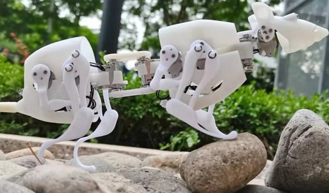 Робот-крыса SQuRo поможет отыскать людей под завалами - «Роботы»